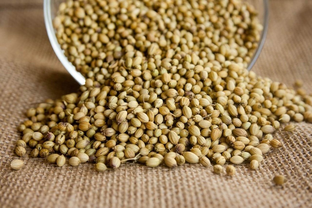 Coriander Futures